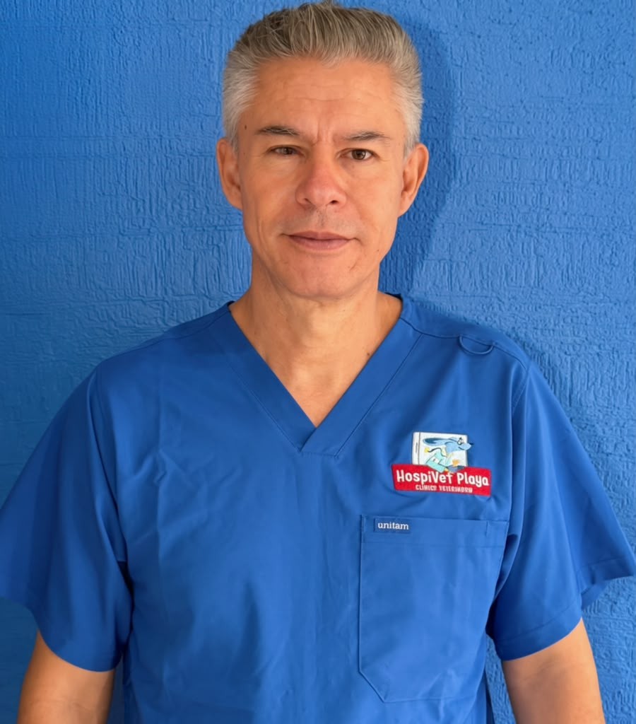 Dr. Simon Rosales