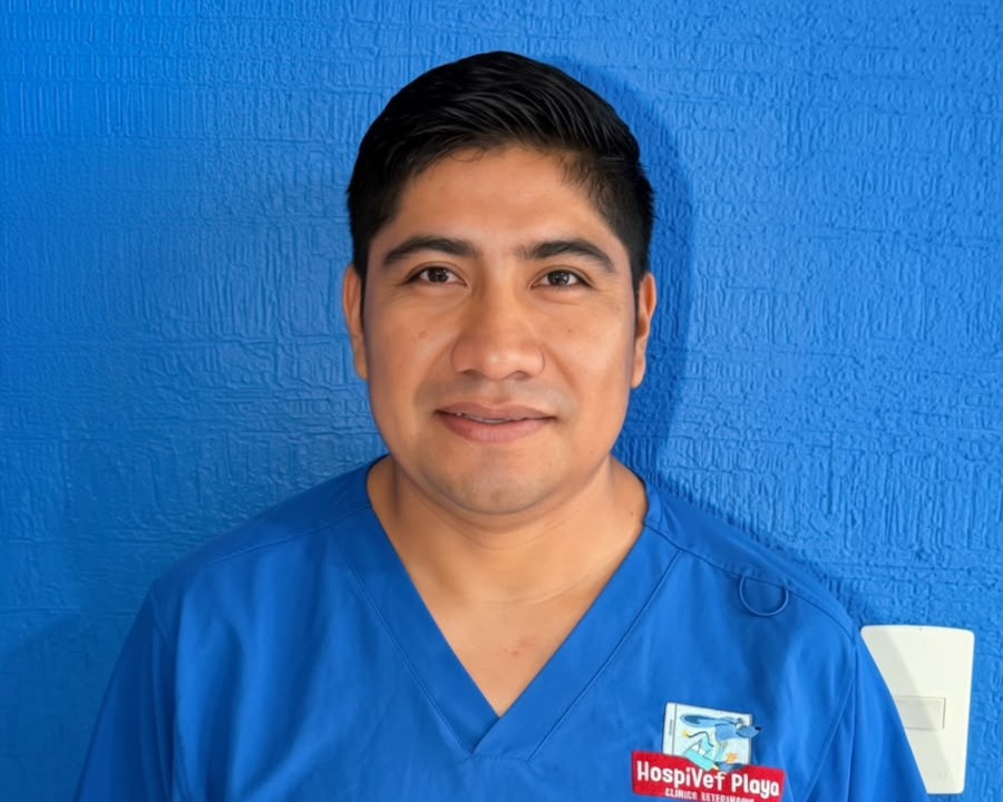 Simon Mendez