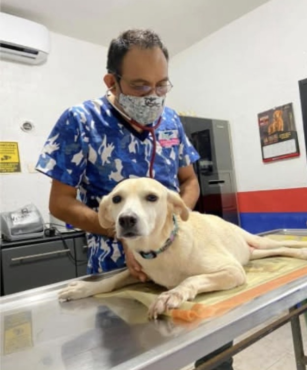 Seguimiento y Recuperación