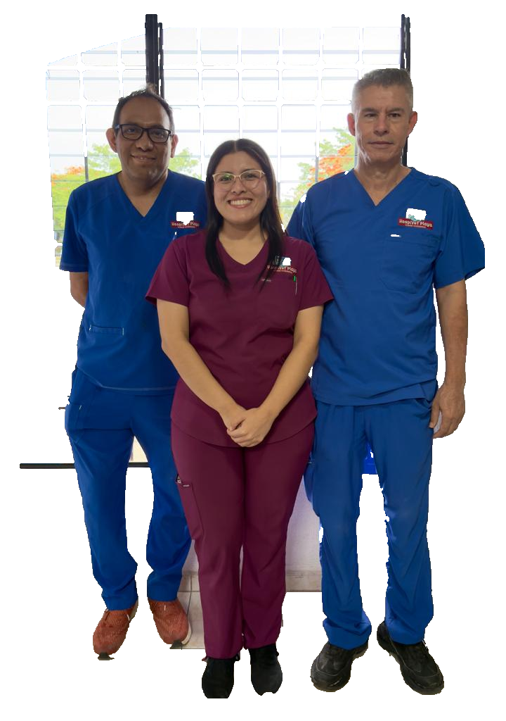 Equipo HospiVet Playa
